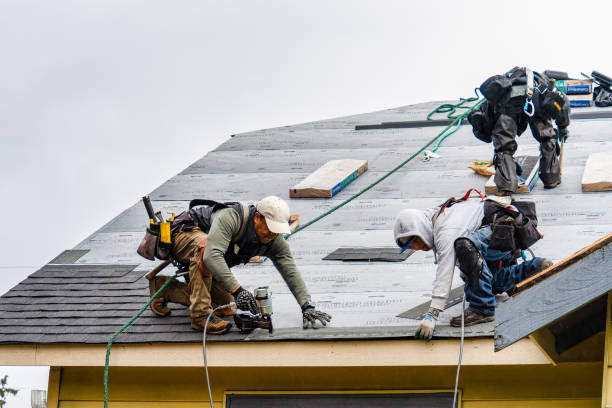 Professional Roofing technician working in Rainier, OR